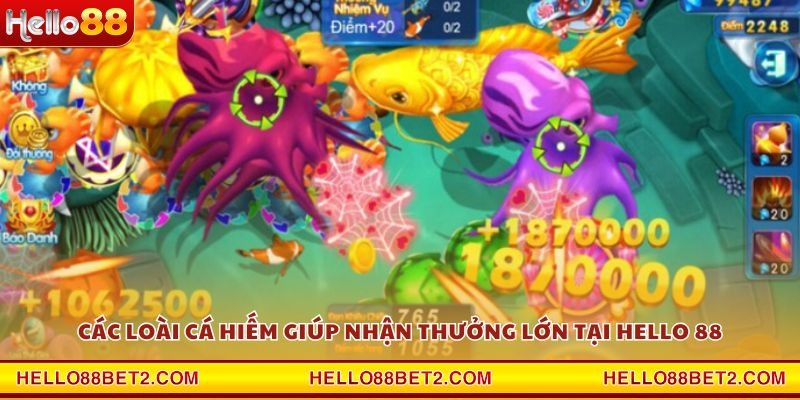 Các loài cá hiếm giúp nhận thưởng lớn tại Hello 88