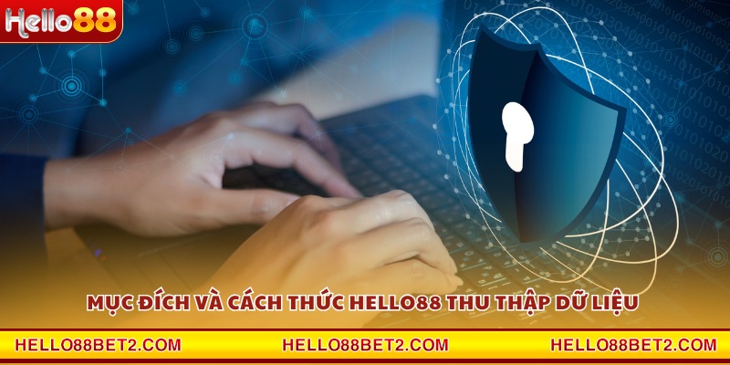 Mục đích và cách thức Hello88 thu thập dữ liệu 