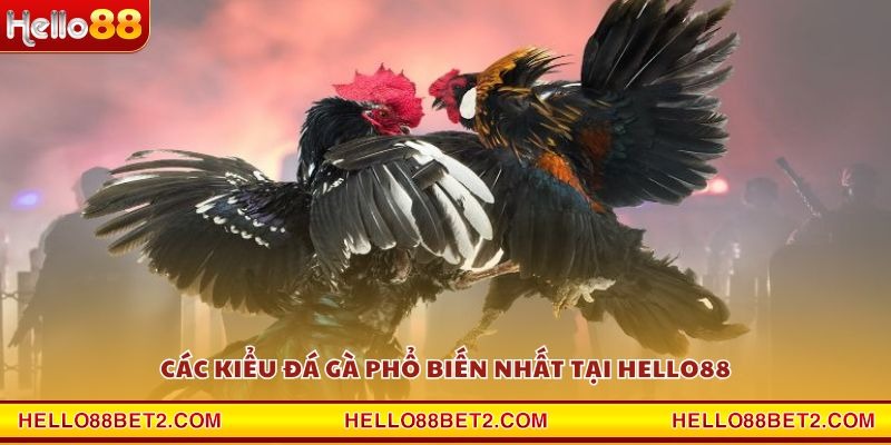 Các kiểu đá gà phổ biến nhất tại Hello88