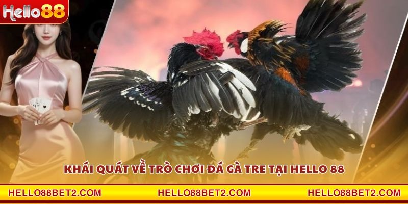 Khái quát về trò chơi đá gà tre tại Hello 88